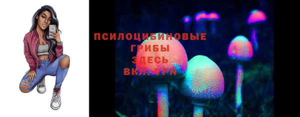 спайс Алексеевка