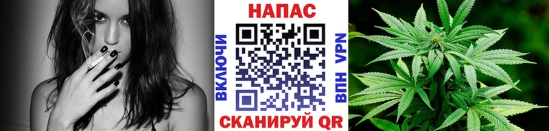 наркота Заинск Конопля Amnesia